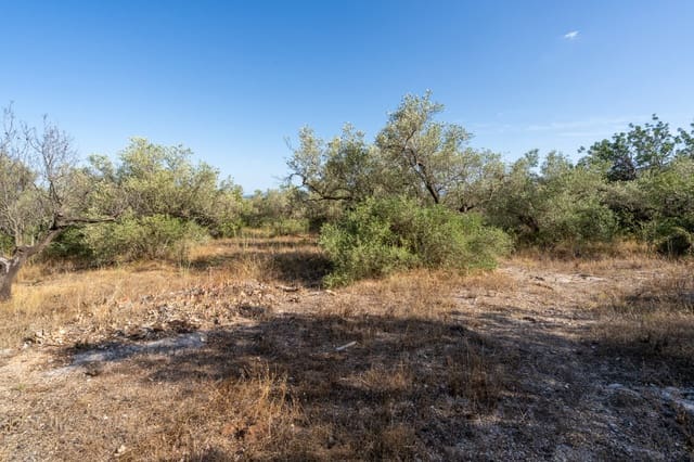 Quinta/Casa Rural para venda em Roquetes - 70 000 € (Ref: 10038955)