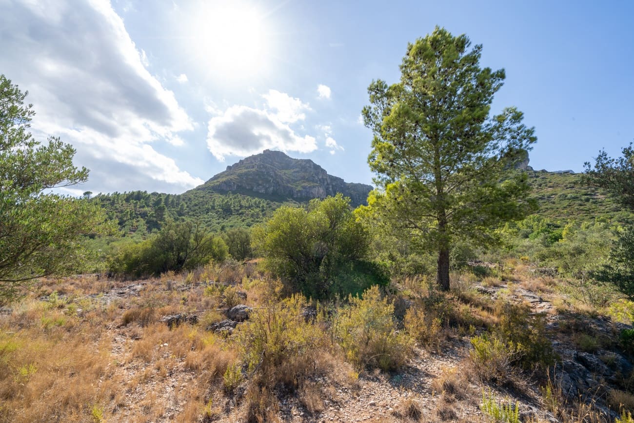 3 chambre Finca/Maison de Campagne à vendre à Roquetes - 190 000 € (Ref: 10038956)