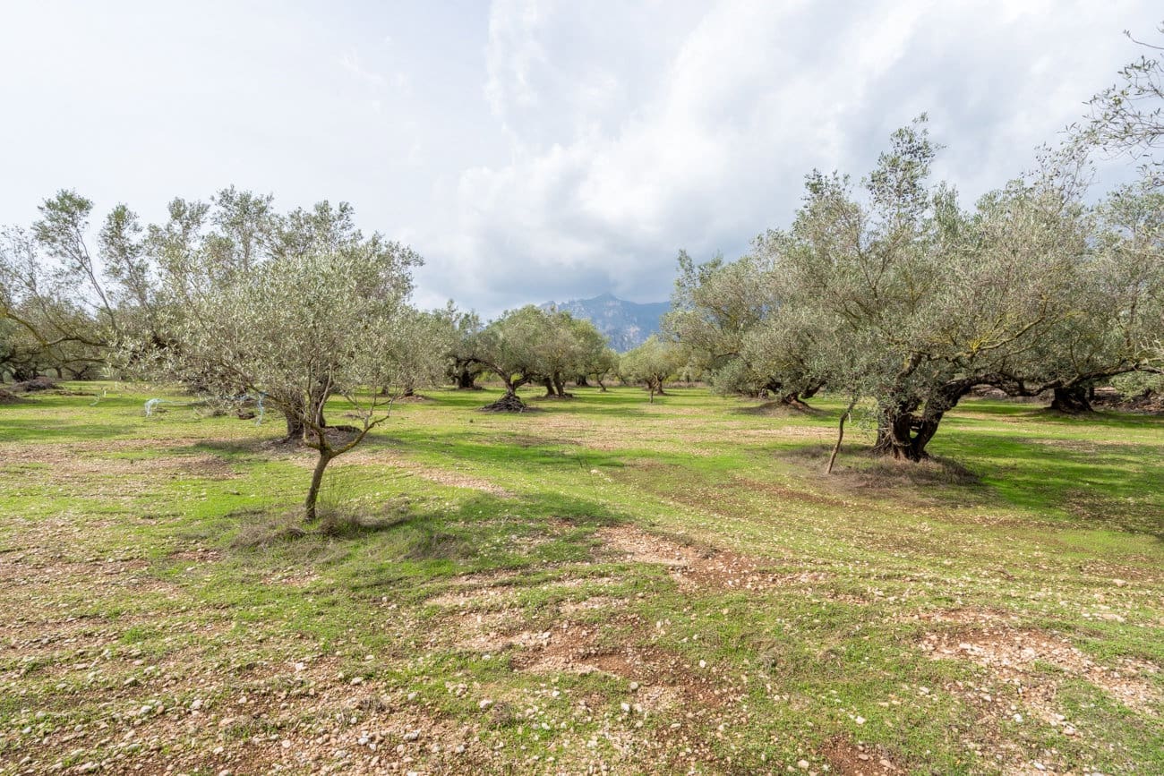 Finca/Landehus til salg i Roquetes - € 63.000 (Ref: 10141355)