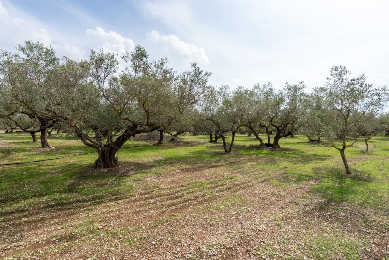 Finca/Landehus til salg i Roquetes - € 63.000 (Ref: 10141355)