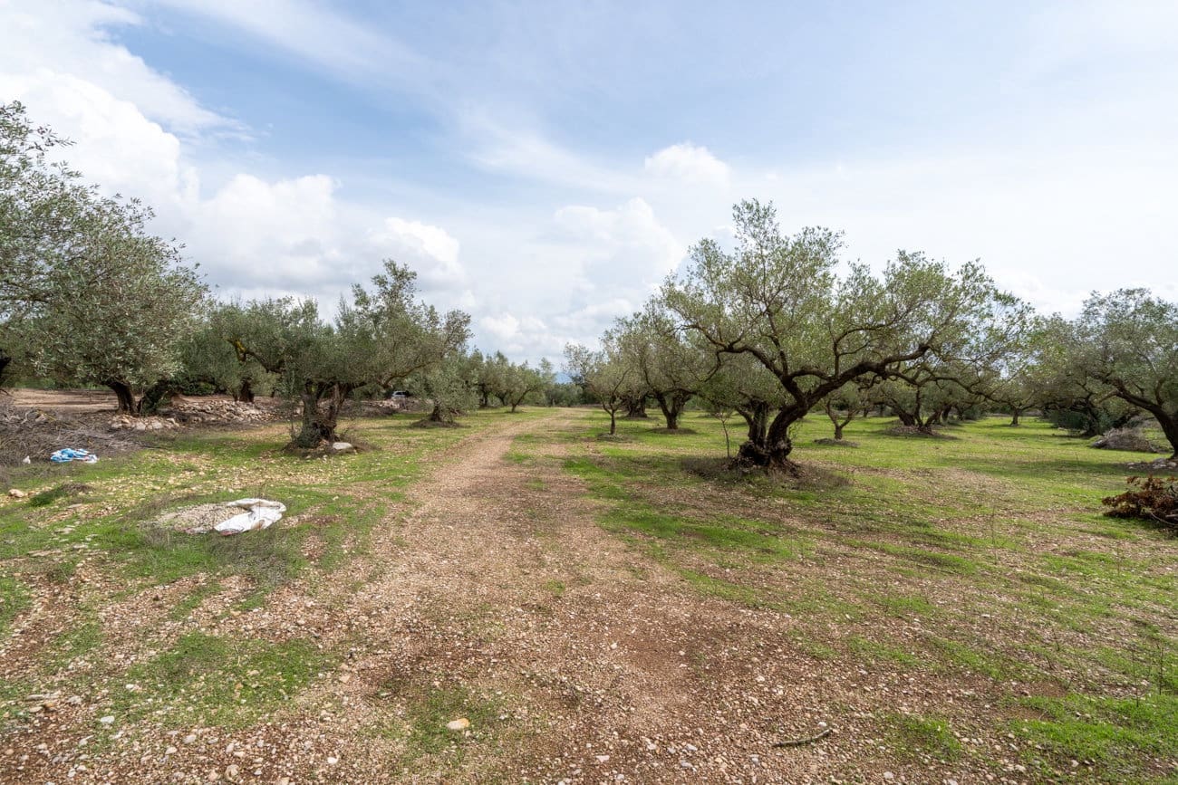 Finca/Landehus til salg i Roquetes - € 63.000 (Ref: 10141355)