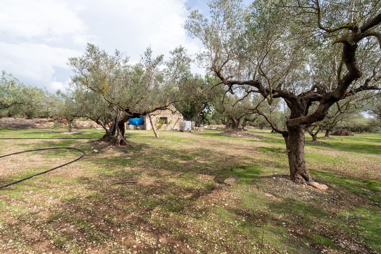 Finca/Landehus til salg i Roquetes - € 63.000 (Ref: 10141355)