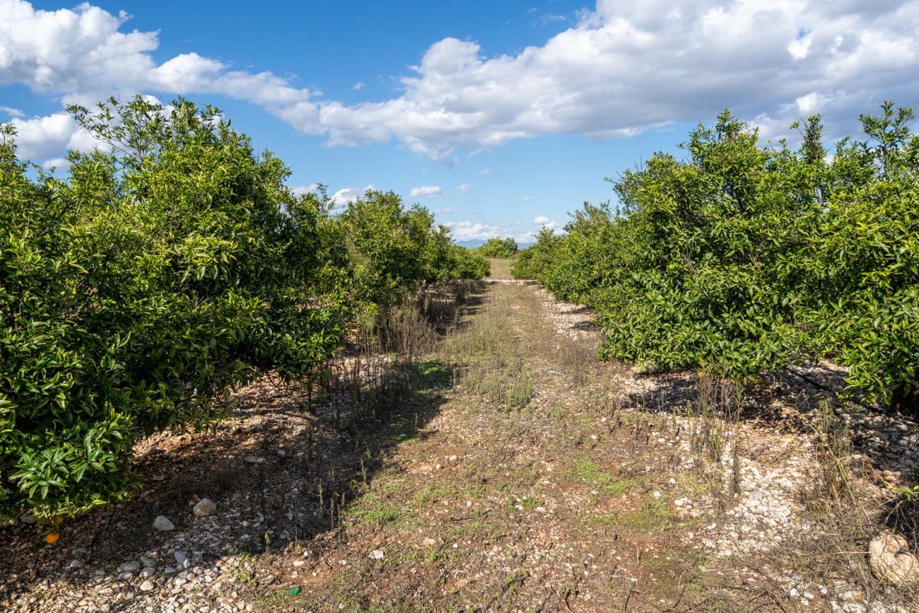 Finca/Country House for sale in Godall - € 158,500 (Ref: 10153216)