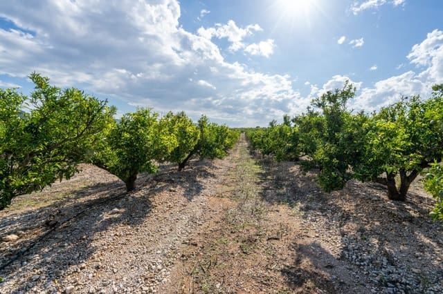 Finca/Landhuis te koop in Godall - € 158.500 (Ref: 10153216)