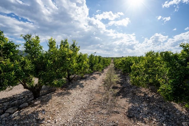 Finca/Landhuis te koop in Godall - € 158.500 (Ref: 10153216)