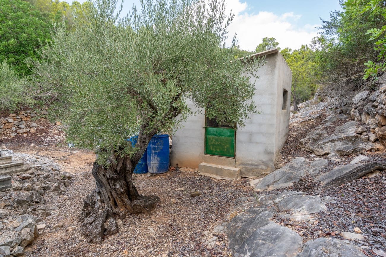 Finca/Country House for sale in Tortosa - € 85,000 (Ref: 10155331)