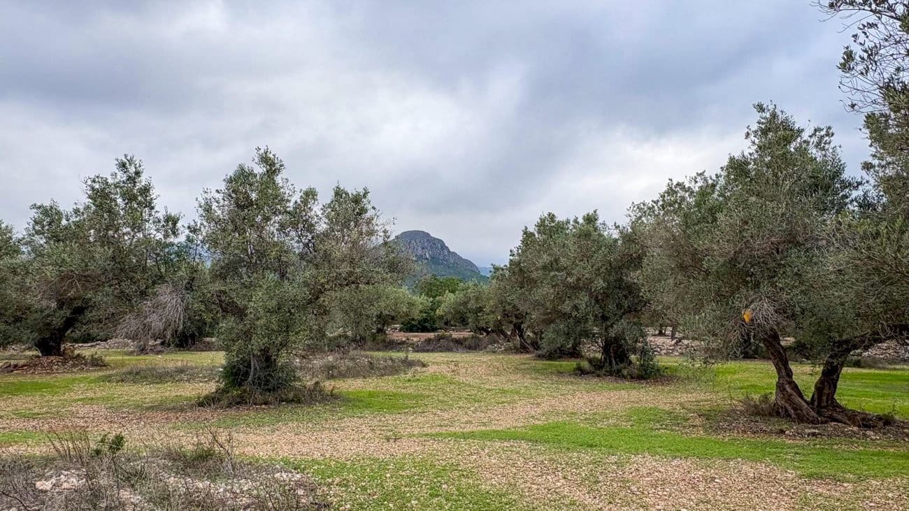 Finca/Country House for sale in Roquetes - € 10,000 (Ref: 10160637)