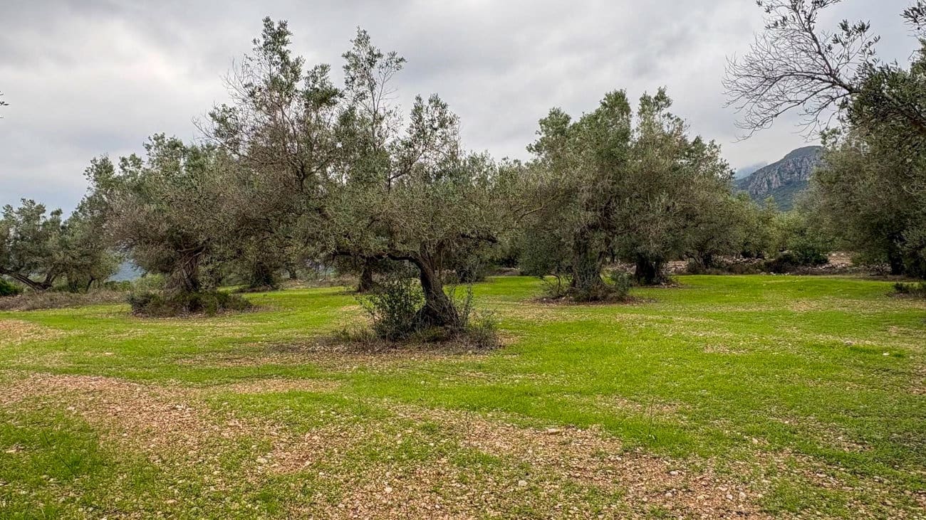 Finca/Country House for sale in Roquetes - € 10,000 (Ref: 10160637)