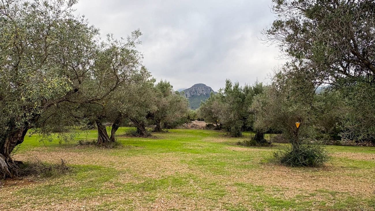 Finca/Country House for sale in Roquetes - € 10,000 (Ref: 10160637)
