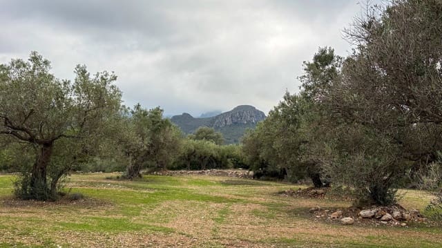 Finca/Casa di Campagna in vendita in Roquetes - 10.000 € (Rif: 10160637)