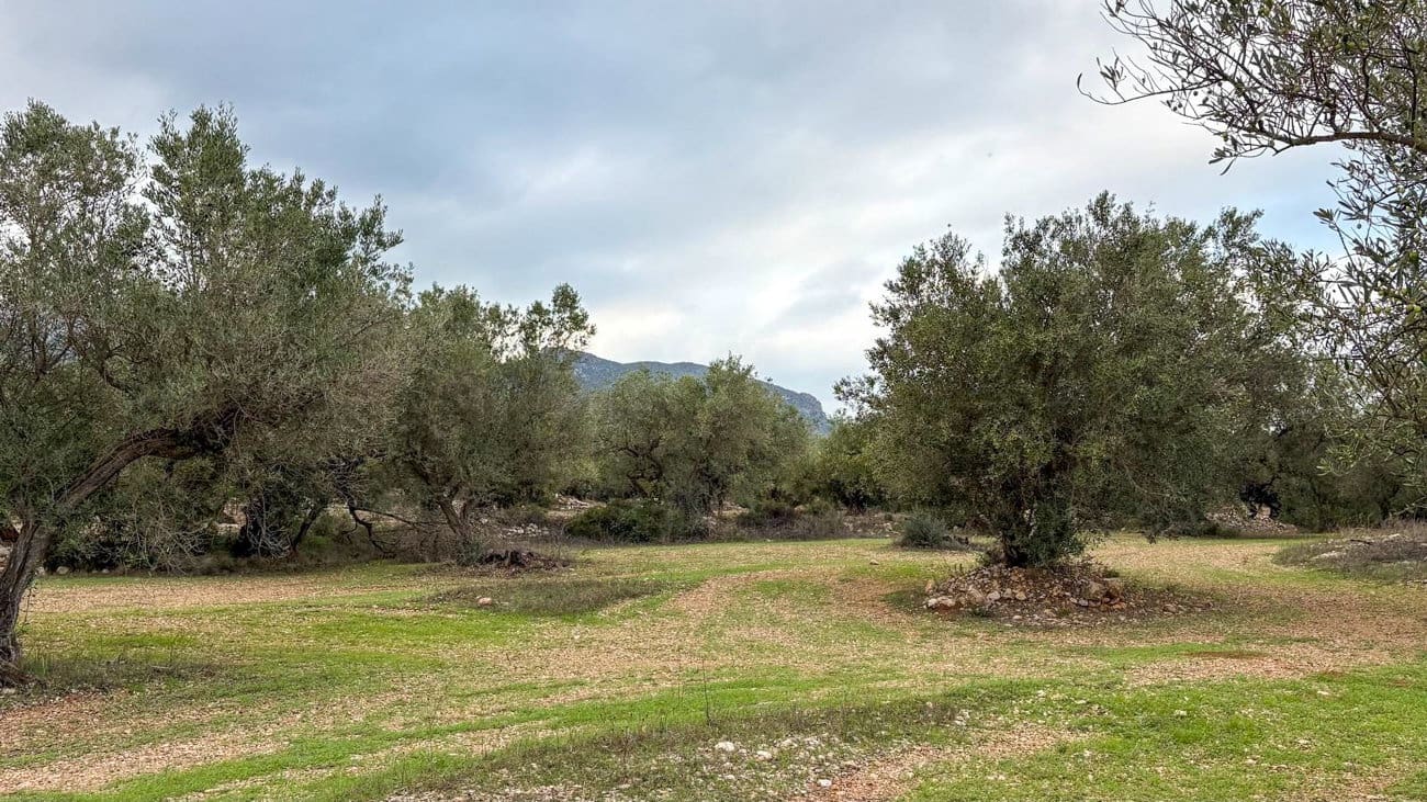 Finca/Country House for sale in Roquetes - € 10,000 (Ref: 10160637)