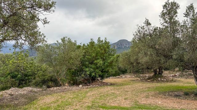 Finca/Casa di Campagna in vendita in Roquetes - 10.000 € (Rif: 10160637)