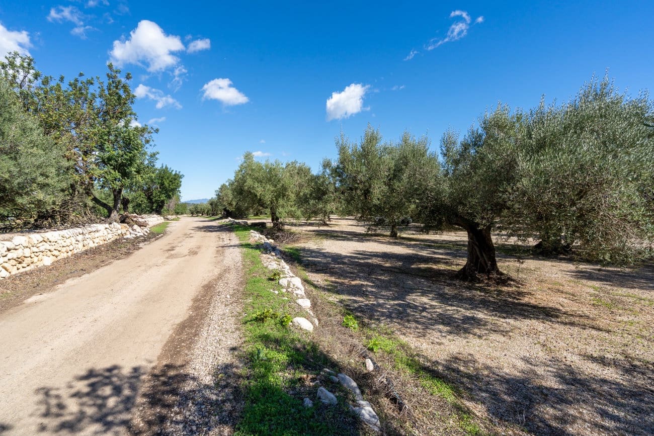 Finca/Landgut zu verkaufen in Mas de Barberans - 7.000 € (Ref: 10174263)