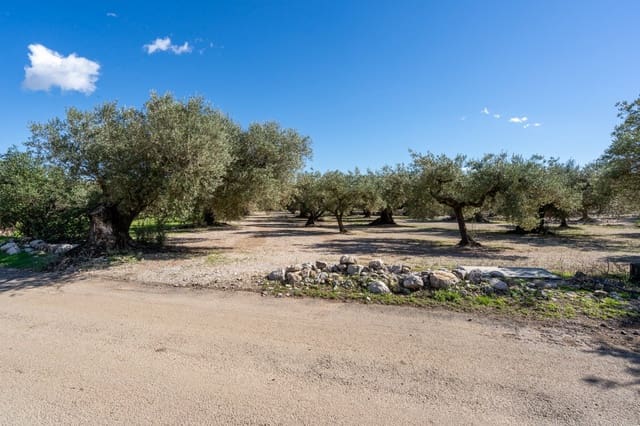 Finca/Landgut zu verkaufen in Mas de Barberans - 7.000 € (Ref: 10174263)