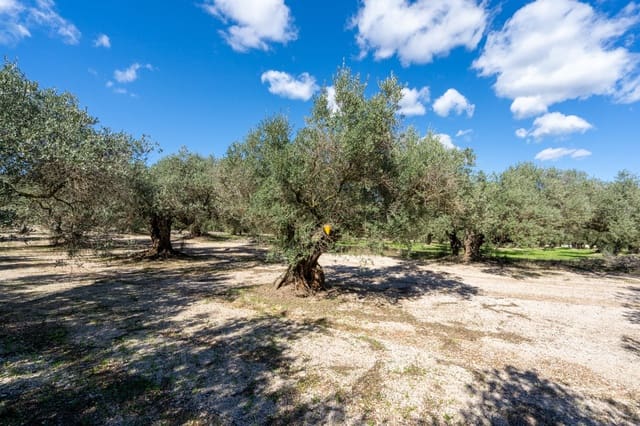 Finca/Landgut zu verkaufen in Mas de Barberans - 7.000 € (Ref: 10174263)