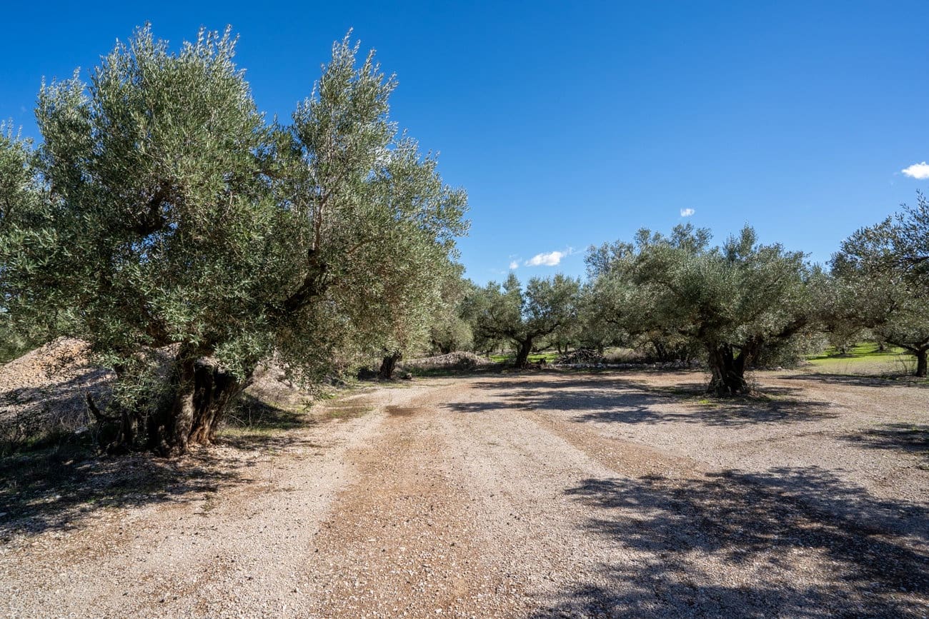 Finca/Landgut zu verkaufen in Mas de Barberans - 7.000 € (Ref: 10174263)