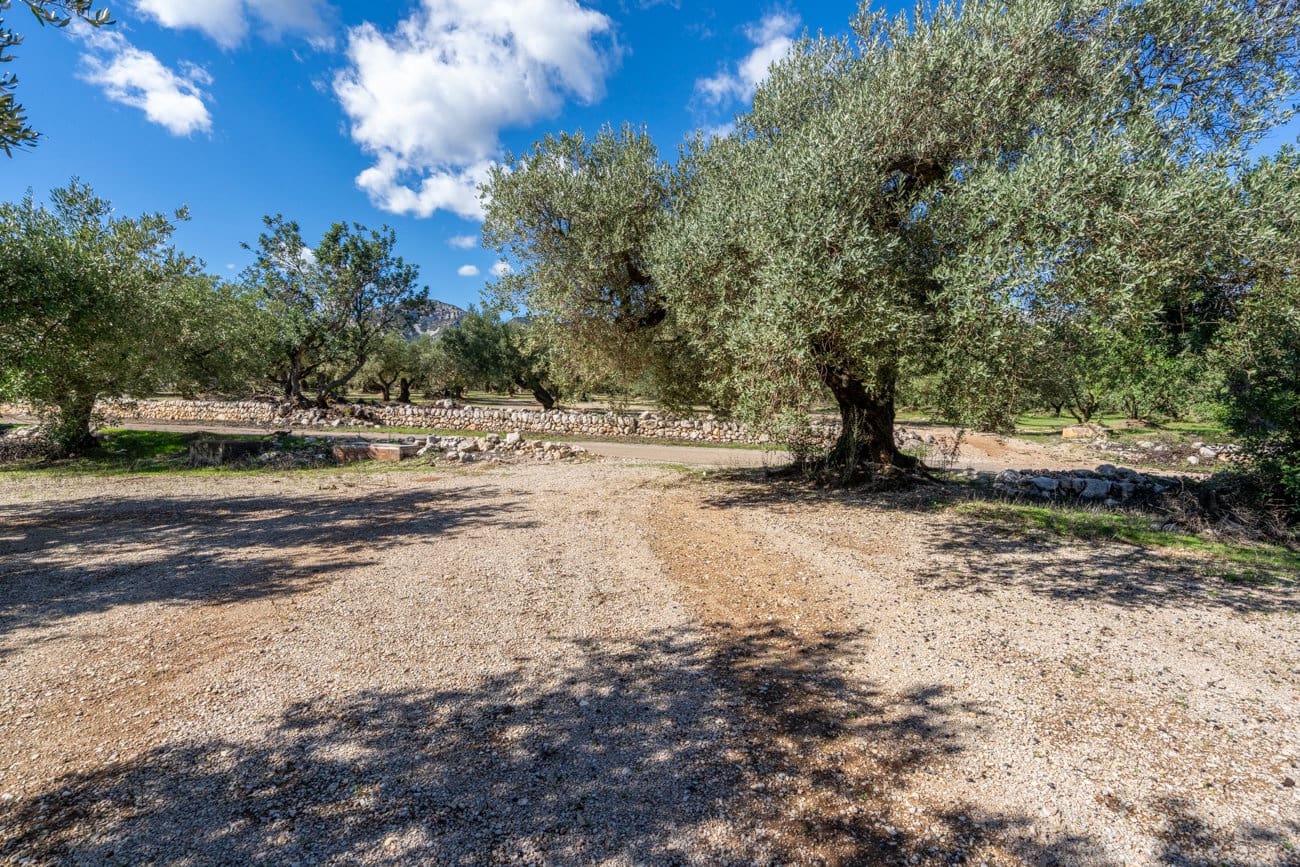 Finca/Landgut zu verkaufen in Mas de Barberans - 7.000 € (Ref: 10174263)