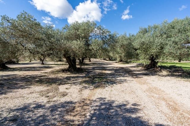 Finca/Landgut zu verkaufen in Mas de Barberans - 7.000 € (Ref: 10174263)