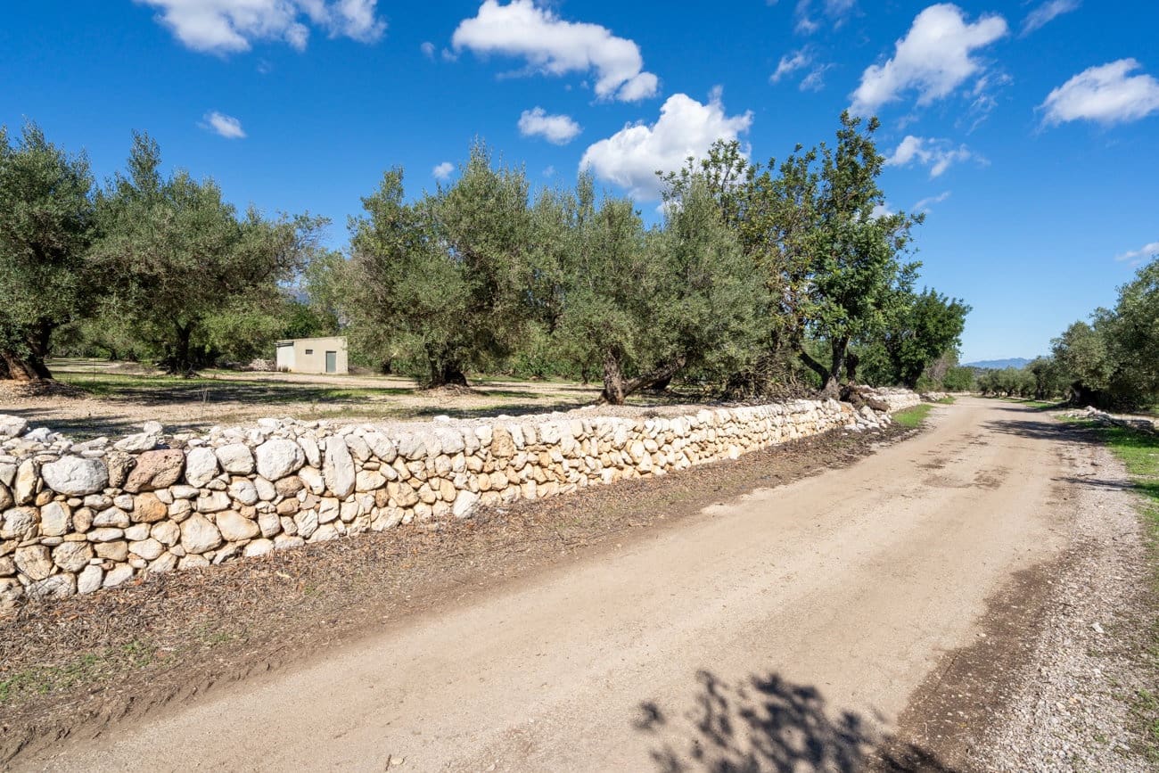 Finca/Hus på landet till salu i Mas de Barberans - 26 000 € (Ref: 10174734)