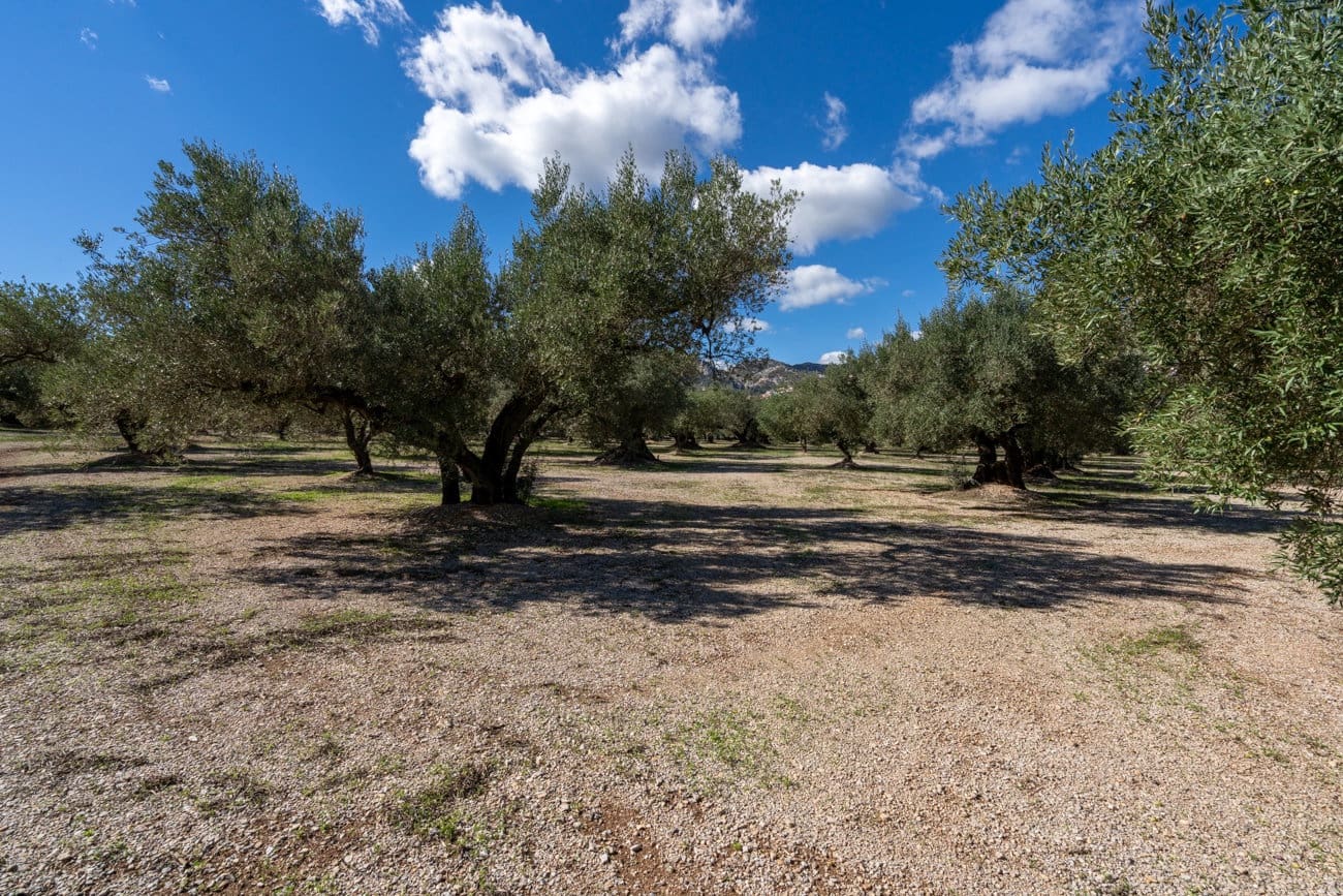 Finca/Hus på landet till salu i Mas de Barberans - 26 000 € (Ref: 10174734)