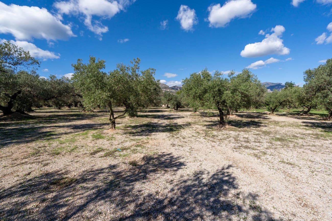 Finca/Hus på landet till salu i Mas de Barberans - 26 000 € (Ref: 10174734)