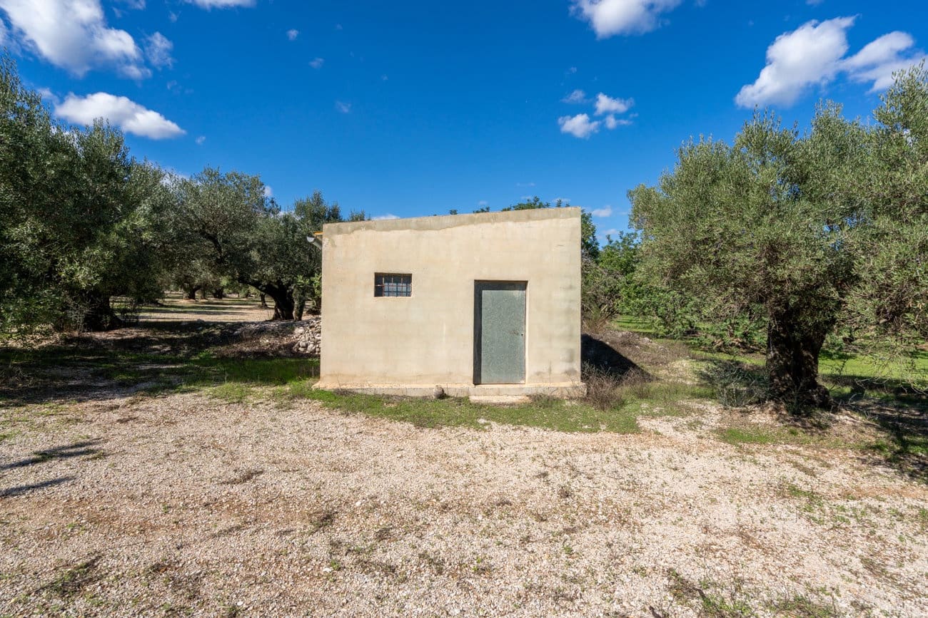 Finca/Hus på landet till salu i Mas de Barberans - 26 000 € (Ref: 10174734)