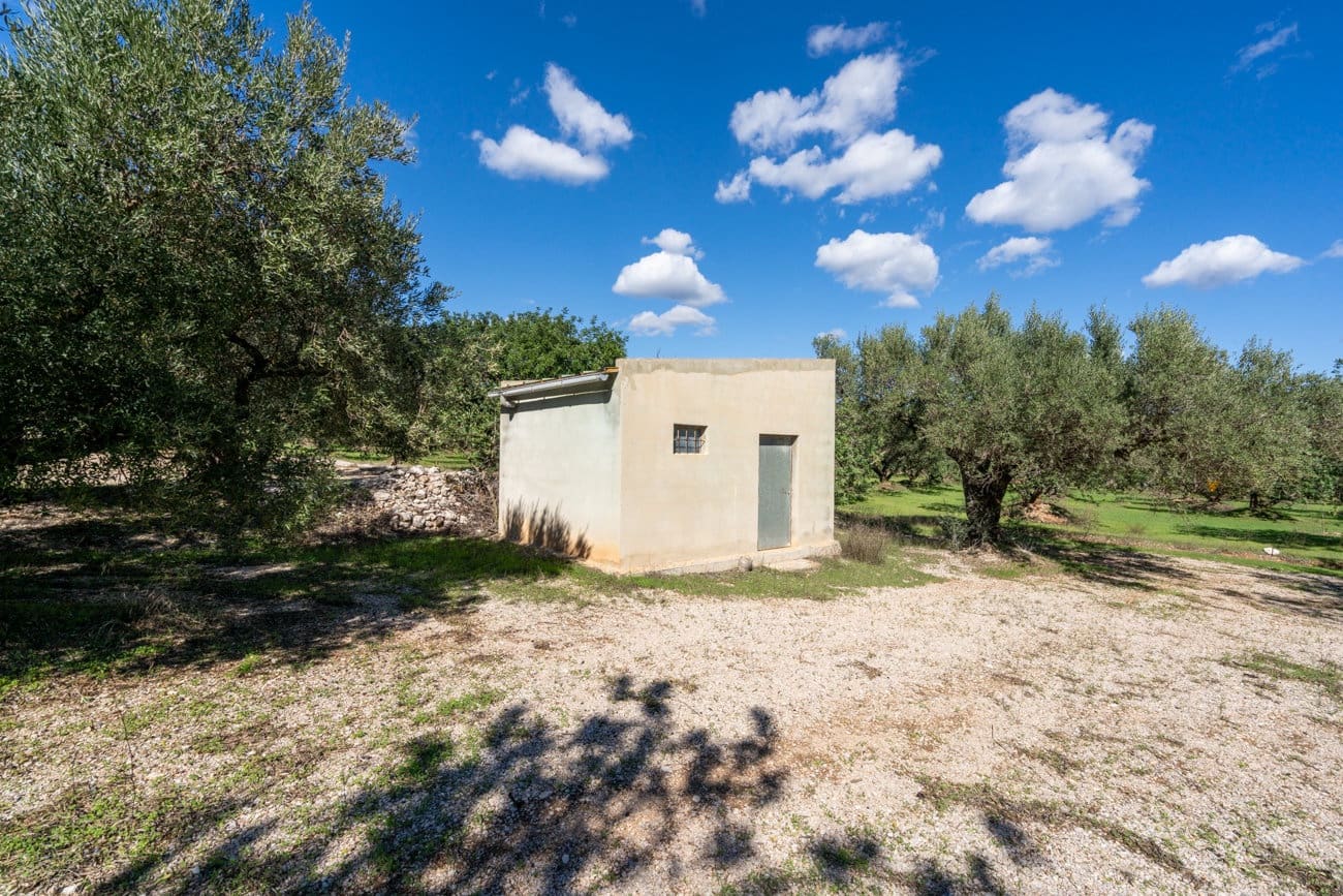 Finca/Hus på landet till salu i Mas de Barberans - 26 000 € (Ref: 10174734)