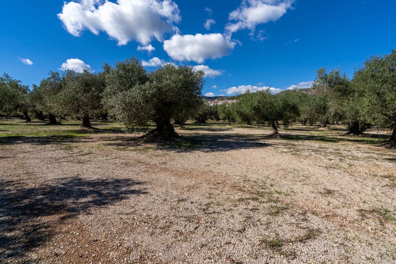 Finca/Hus på landet till salu i Mas de Barberans - 26 000 € (Ref: 10174734)