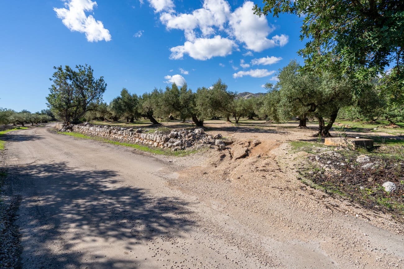 Finca/Hus på landet till salu i Mas de Barberans - 26 000 € (Ref: 10174734)