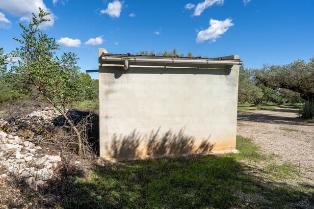 Finca/Country House for sale in Mas de Barberans - € 26,000 (Ref: 10174734)