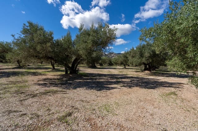 Finca/Country House for sale in Mas de Barberans - € 26,000 (Ref: 10174734)