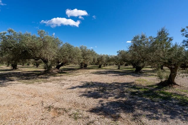 Finca/Country House for sale in Mas de Barberans - € 26,000 (Ref: 10174734)