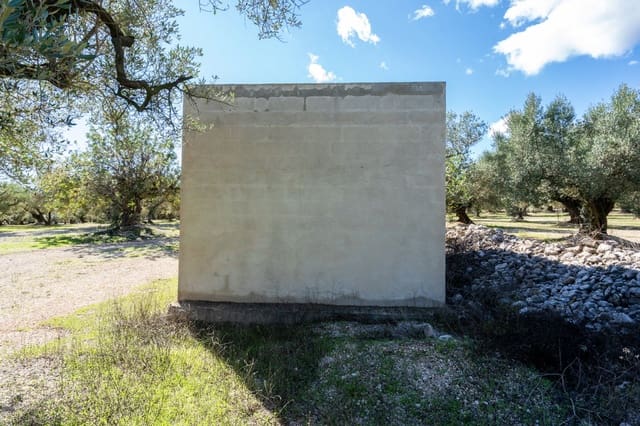 Finca/Country House for sale in Mas de Barberans - € 26,000 (Ref: 10174734)
