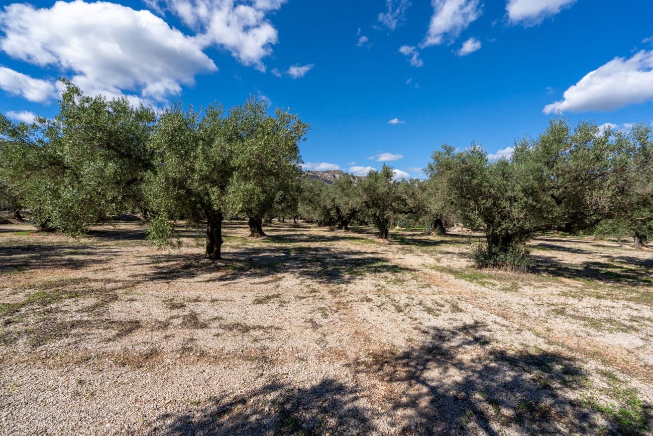 Finca/Hus på landet till salu i Mas de Barberans - 26 000 € (Ref: 10174734)