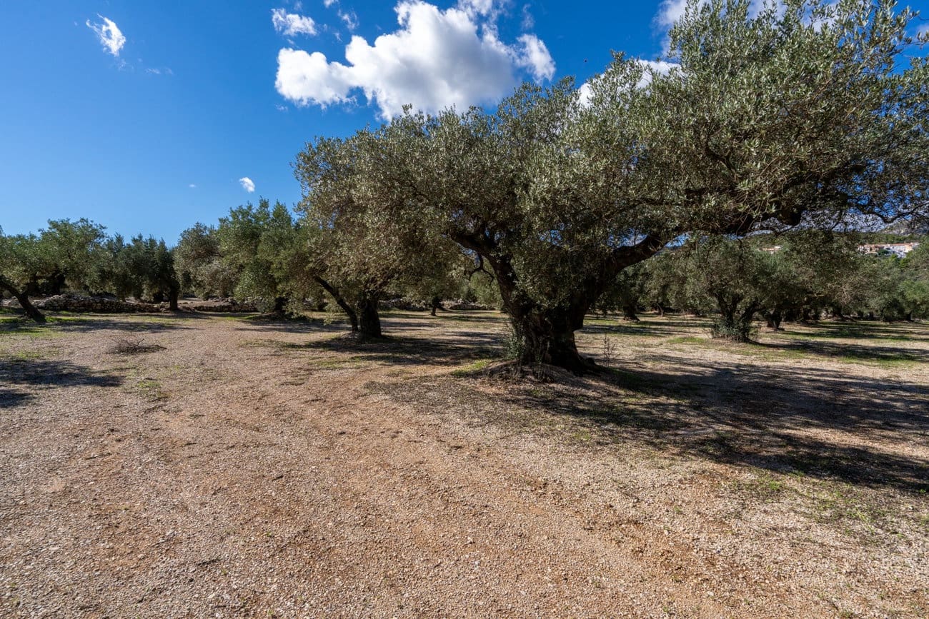 Finca/Hus på landet till salu i Mas de Barberans - 26 000 € (Ref: 10174734)