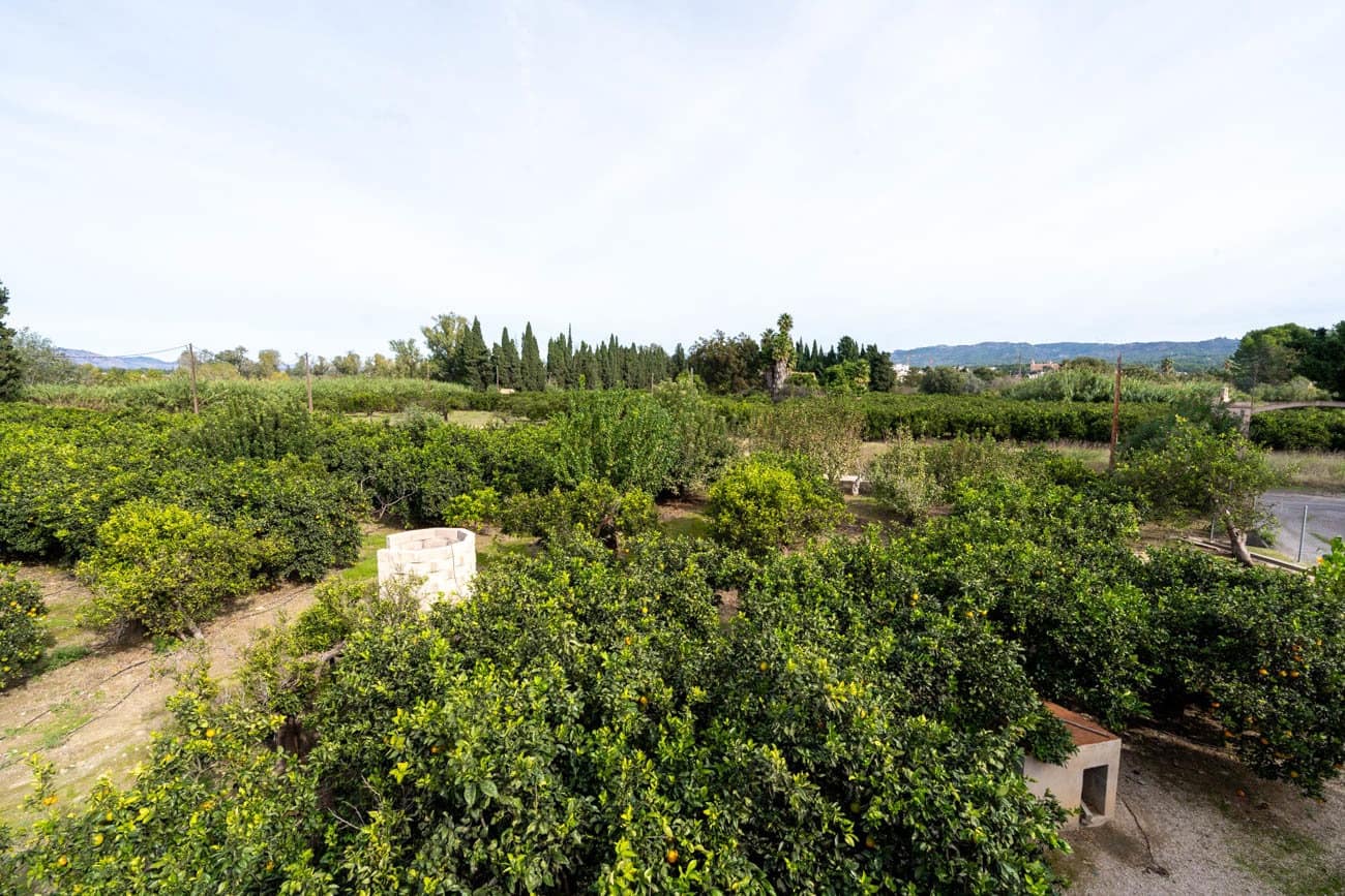 4 slaapkamer Finca/Landhuis te koop in Tortosa - € 265.000 (Ref: 10175769)