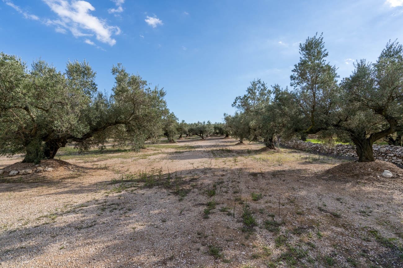 Finca/Landehus til salg i Mas de Barberans - € 21.000 (Ref: 10183266)