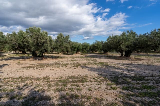 Finca/Landehus til salg i Mas de Barberans - € 21.000 (Ref: 10183266)