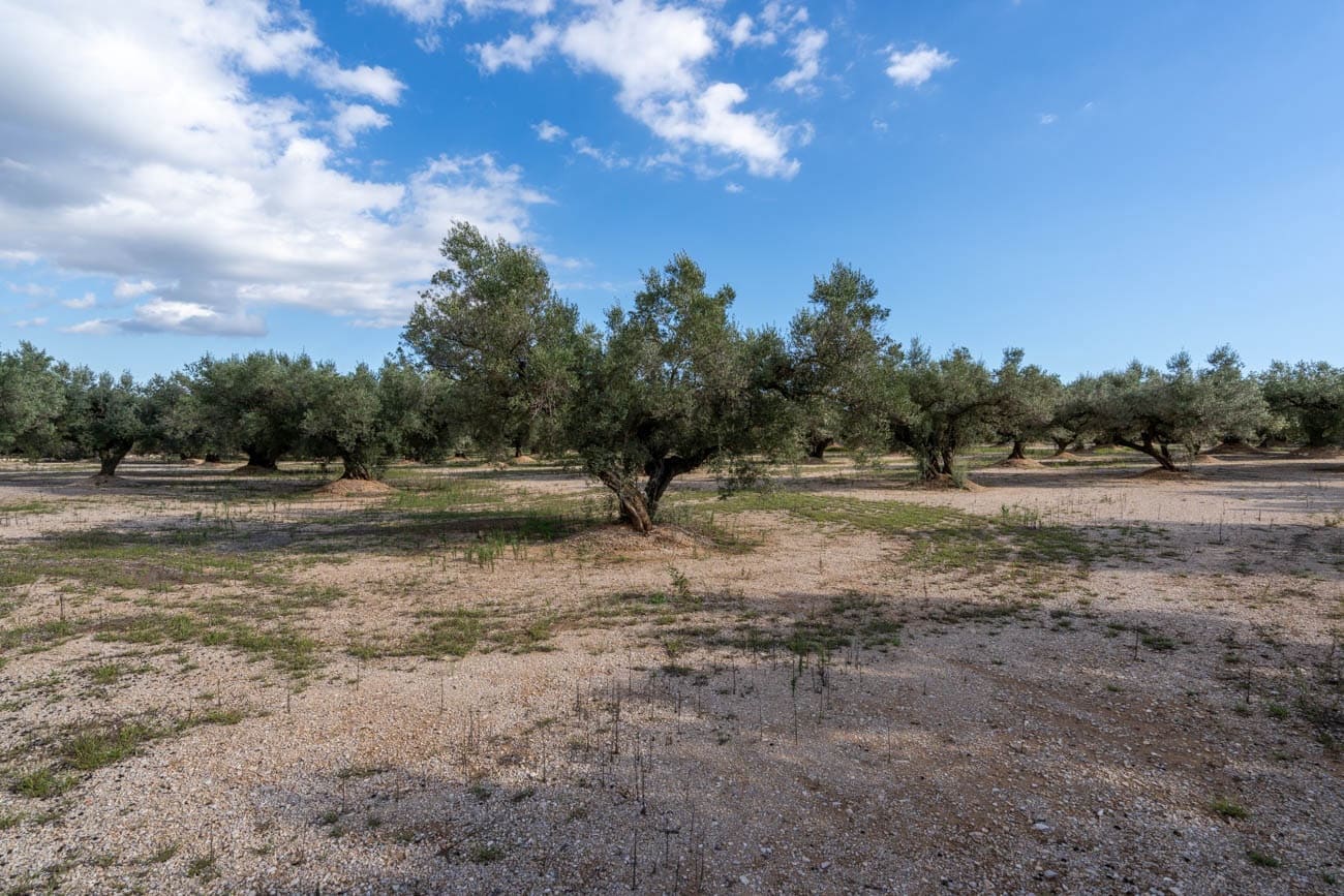 Finca/Landehus til salg i Mas de Barberans - € 21.000 (Ref: 10183266)