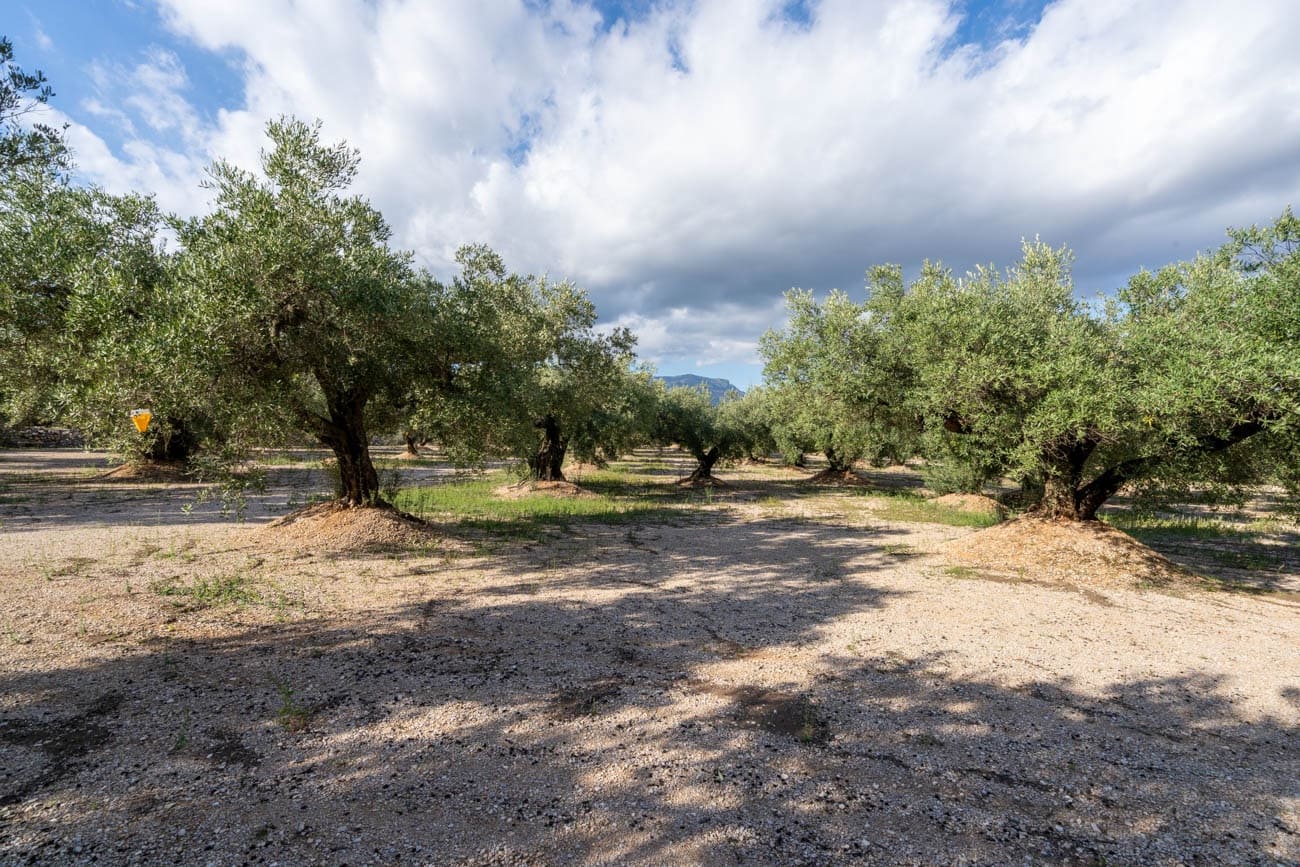 Finca/Landehus til salg i Mas de Barberans - € 21.000 (Ref: 10183266)