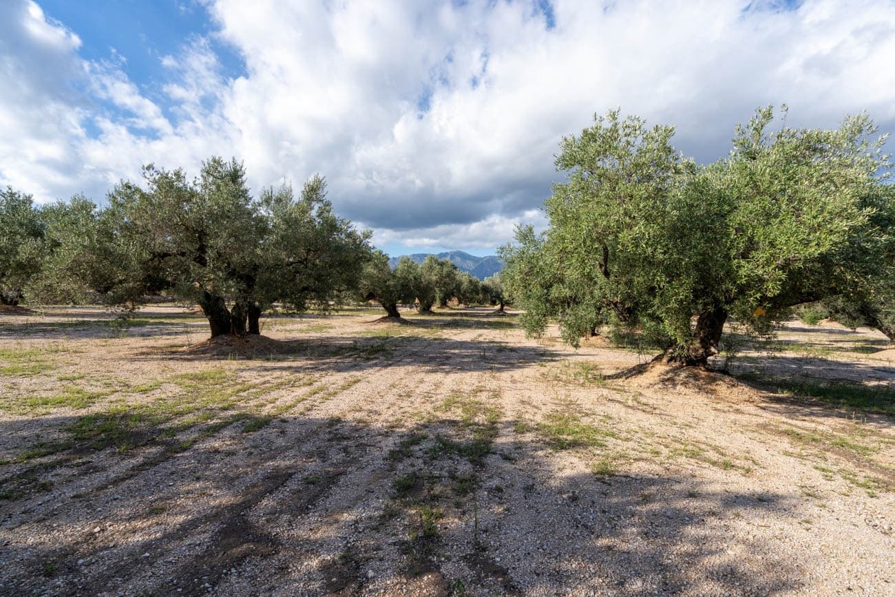 Finca/Landehus til salg i Mas de Barberans - € 21.000 (Ref: 10183266)