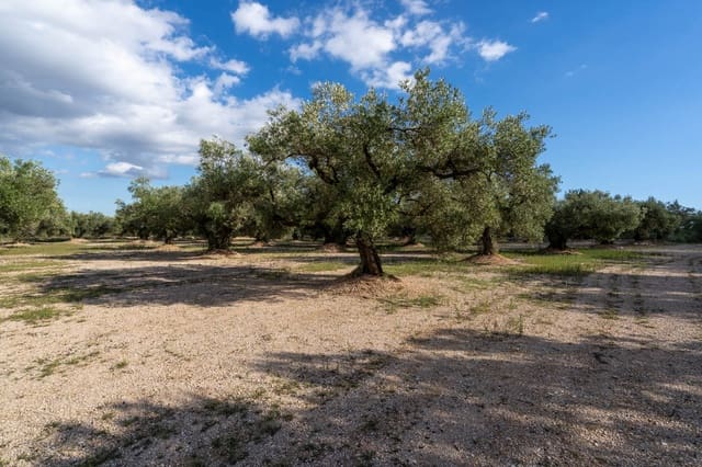 Finca/Landehus til salg i Mas de Barberans - € 21.000 (Ref: 10183266)