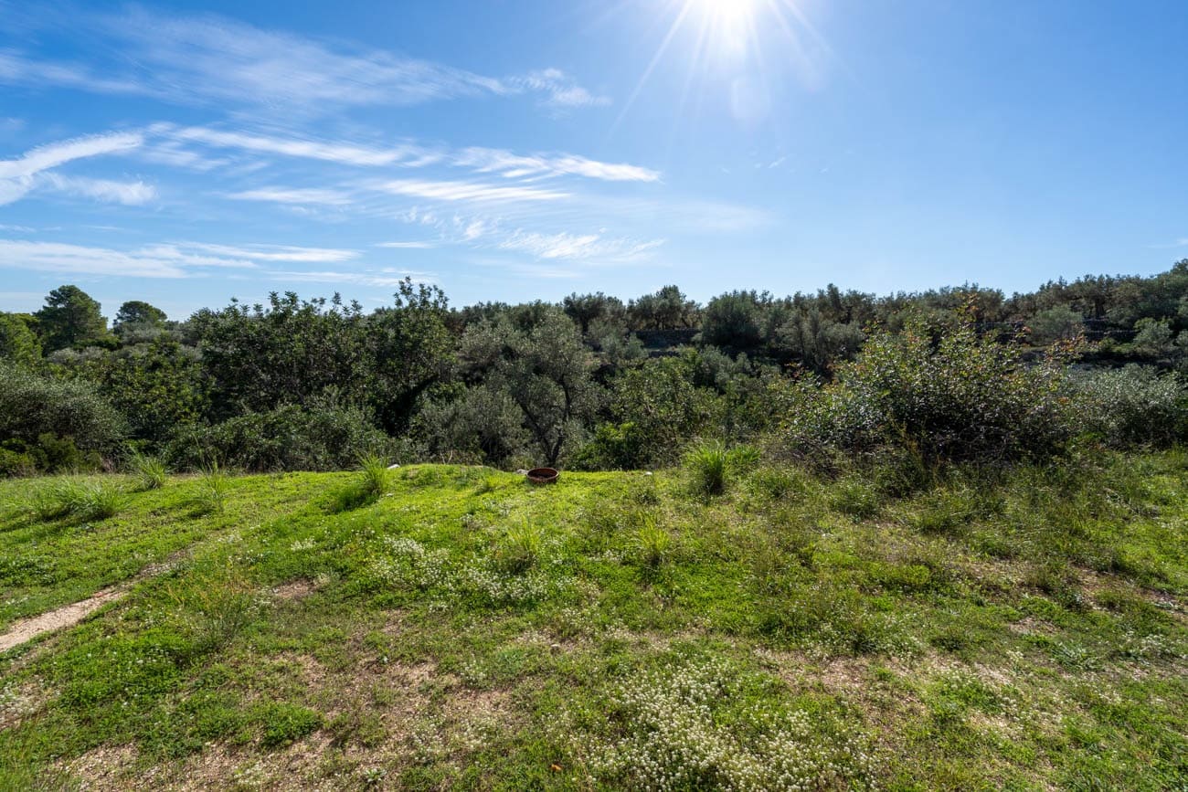 1 soverom Finca/Herregård til salgs i Roquetes - € 106 000 (Ref: 10186085)