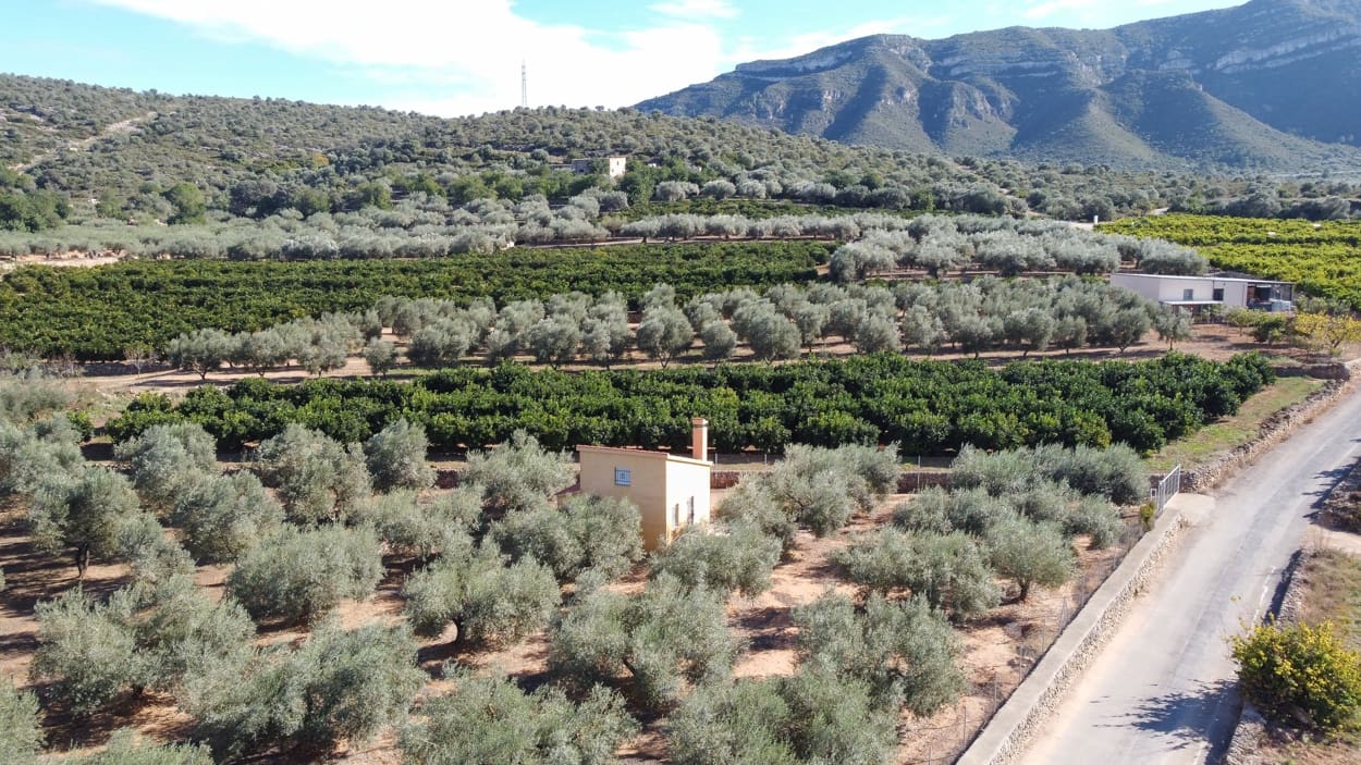 1 Zimmer Finca/Landgut zu verkaufen in Freginals - 83.000 € (Ref: 4226929)