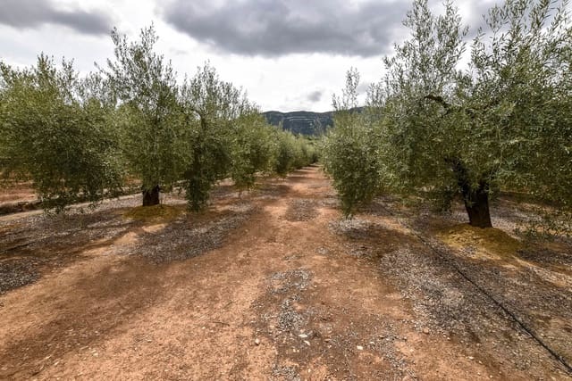 1 chambre Finca/Maison de Campagne à vendre à Freginals - 83 000 € (Ref: 4226929)