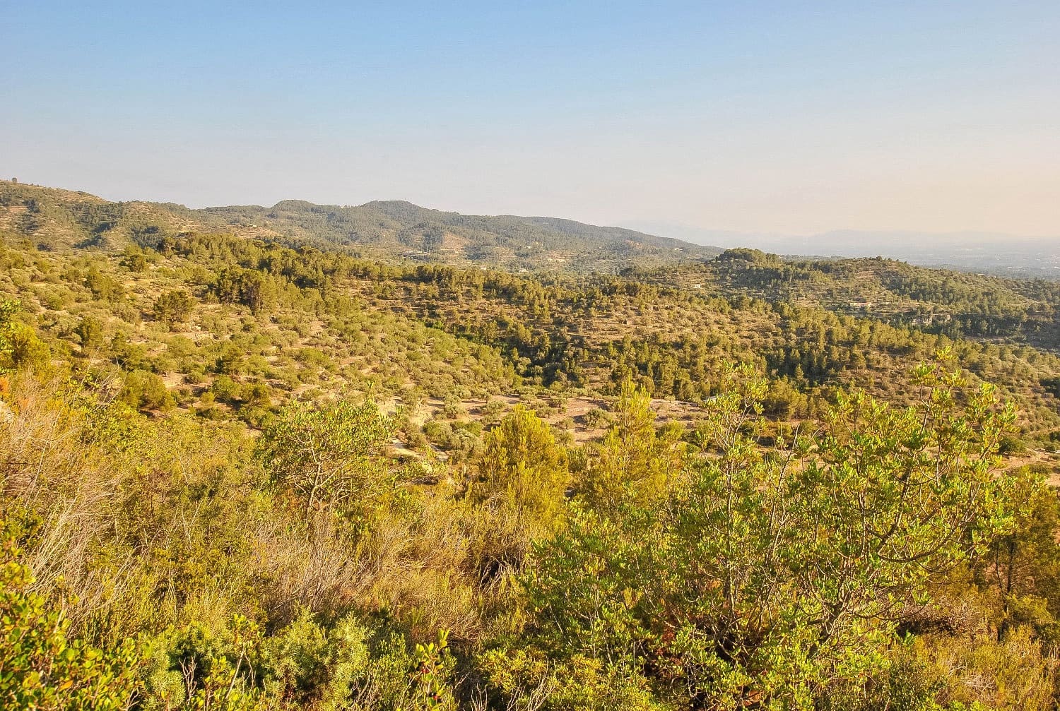 Finca/Landgut zu verkaufen in Tortosa - 25.000 € (Ref: 4226954)