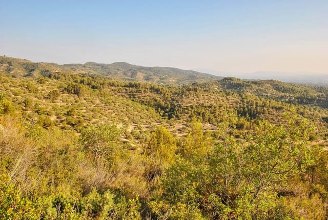 Finca/Casa Rural en Tortosa en venta - 25.000 € (Ref: 4226954)