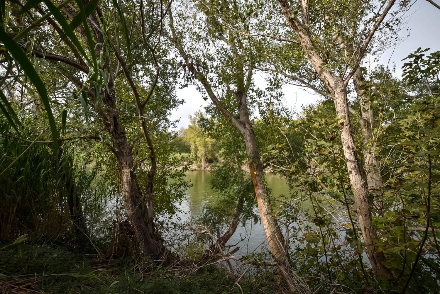 4 sypialnia Finka/Dom wiejski na sprzedaż w Tortosa - 140 000 € (Ref: 4250437)