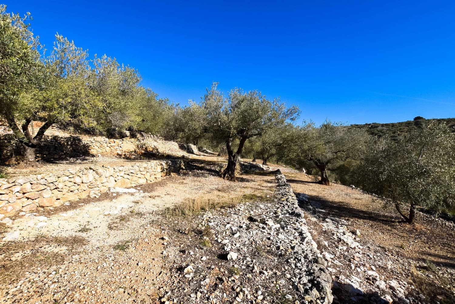 Finca/Landehus til salg i Tortosa - € 80.000 (Ref: 4435509)