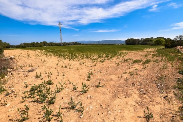 Finca/Herregård til salgs i Vinallop, Tortosa - € 220 000 (Ref: 4559178)